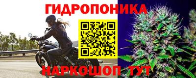 мяу мяу кристалл Ачхой-Мартан