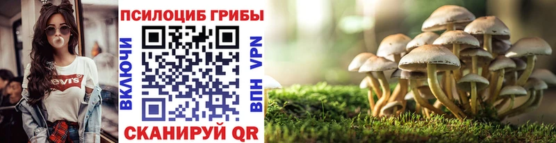 Псилоцибиновые грибы Psilocybe  как найти   kraken онион  Электросталь 