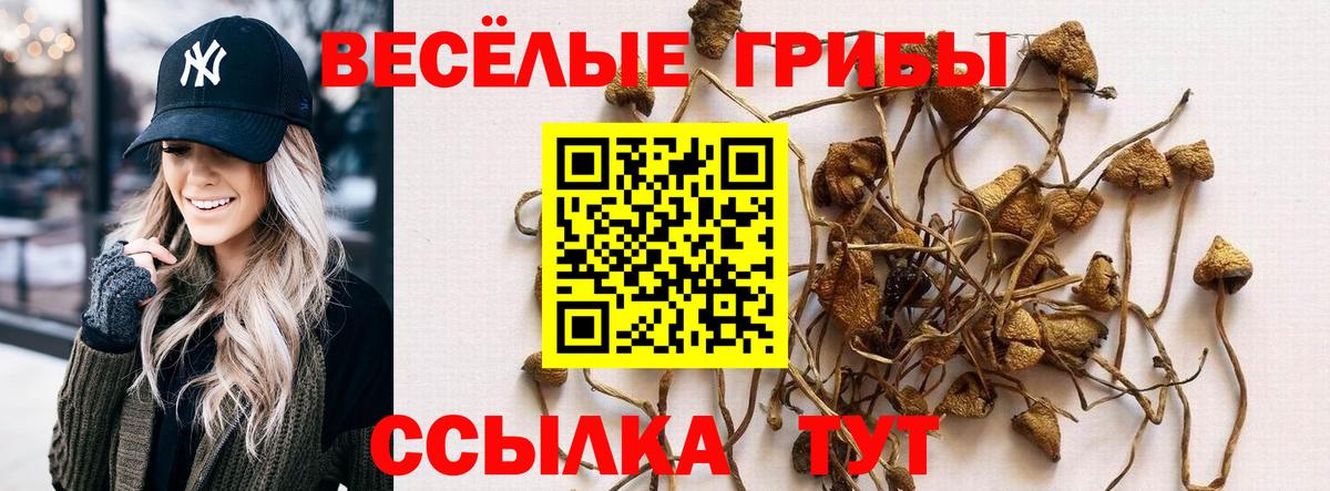 Псилоцибиновые грибы прущие грибы  Вход с VPN  Псилоцибиновые грибы Cubensis  Электросталь 